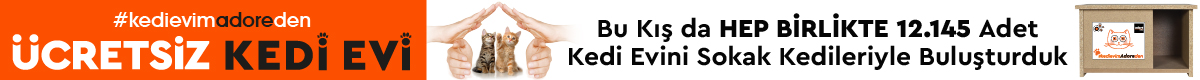 Kedi_Sayfa_Bant.jpg (73 KB)